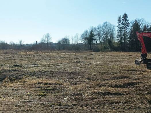 Grundstück zum Kauf 1.100.000 € 20.120 m² Grundstück frei ab sofort Tornau Halle (Saale) 06118