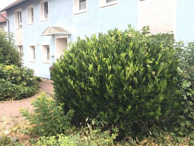 Wohnung zur Miete 575 € 3,5 Zimmer 64,5 m² 1. Geschoss frei ab 01.03.2026 Heinrich-Kämpchen-Straße 9 Dahlhausen Bochum 44879