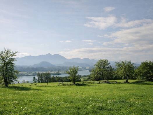 Grundstück zum Kauf 739.000 € 4.092 m² Grundstück Penk / Neudenstein 9100