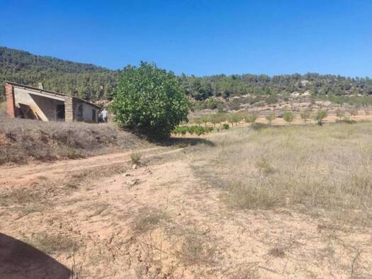 Acker-/Waldstück zum Kauf 35.000 € Carretera Horta S/N Horta de Sant Joan 43596