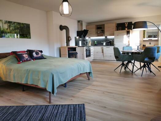 Studio zur Miete 780 € 1 Zimmer 50 m² Geschoss EG/3 frei ab 13.10.2025 Grunholz Laufenburg (Baden) 79725