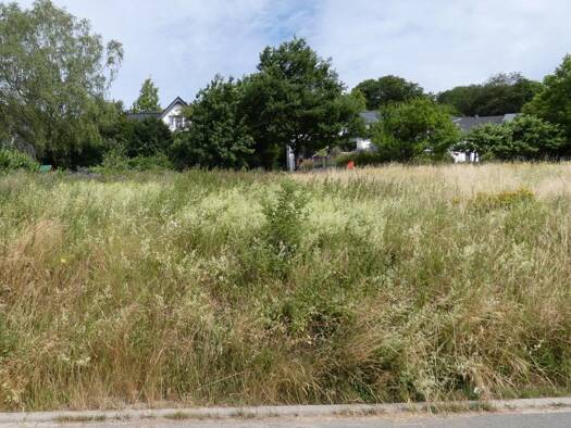 Grundstück zum Kauf 79.000 € 677 m² Grundstück Pungelscheid Werdohl 58791