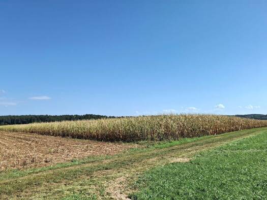 Landwirtschaftliche Fläche zum Kauf 92.602 m² Grundstück Aschering Pöcking 82343