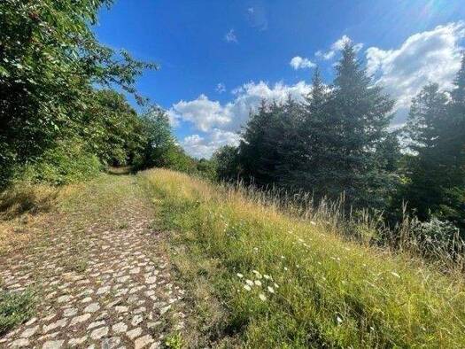 Grundstück zum Kauf 55.000 € 5.308 m² Grundstück Hauptstraße 7 Wethau 06618