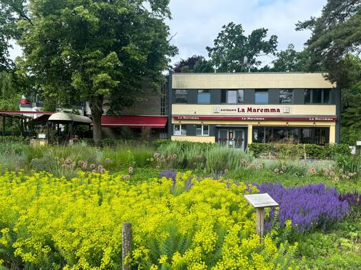 Bürofläche zur Miete 1.150 € 48,6 m² Bürofläche Hagenstraße 79 Grunewald Berlin 14193