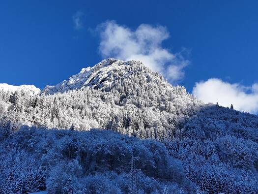 Grundstück zum Kauf 699.000 € 1.519 m² Grundstück Klösterle 6754