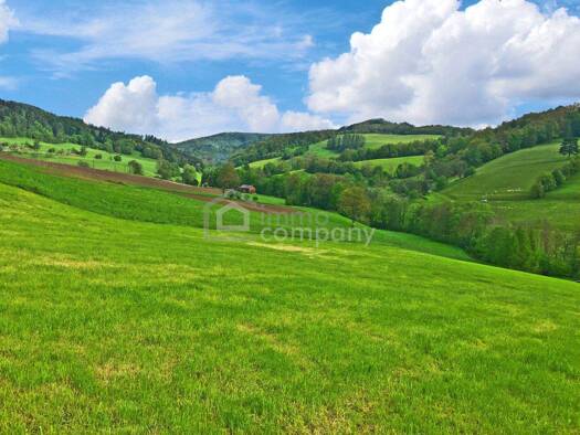 Doppelhaushälfte zum Kauf 439.000 € 4 Zimmer 105 m² 211 m² Grundstück Alland 2534