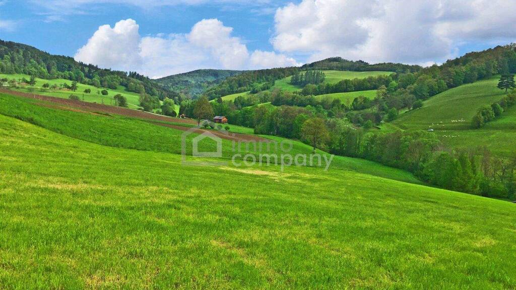 Doppelhaushälfte zum Kauf 439.000 € 4 Zimmer 105 m² 211 m² Grundstück Alland 2534