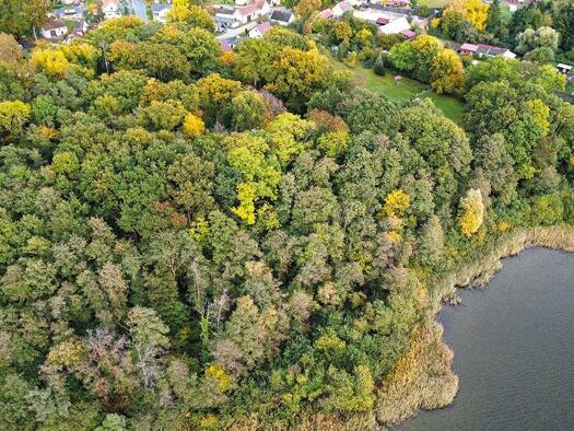 Grundstück zum Kauf 9.500 € 6.296 m² Grundstück Groß Schauen Storkow 15859