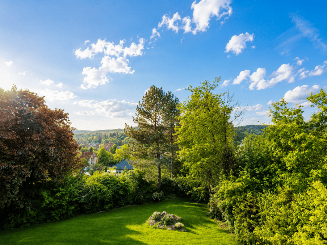 Einfamilienhaus zum Kauf - Ansicht 3