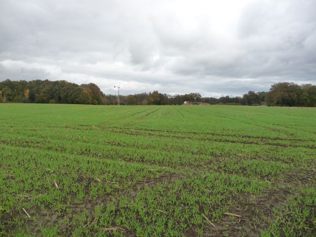 Landwirtschaftliche Fläche zum Kauf 55.489 m²<br/>Grundstück Menslage Menslage 49637