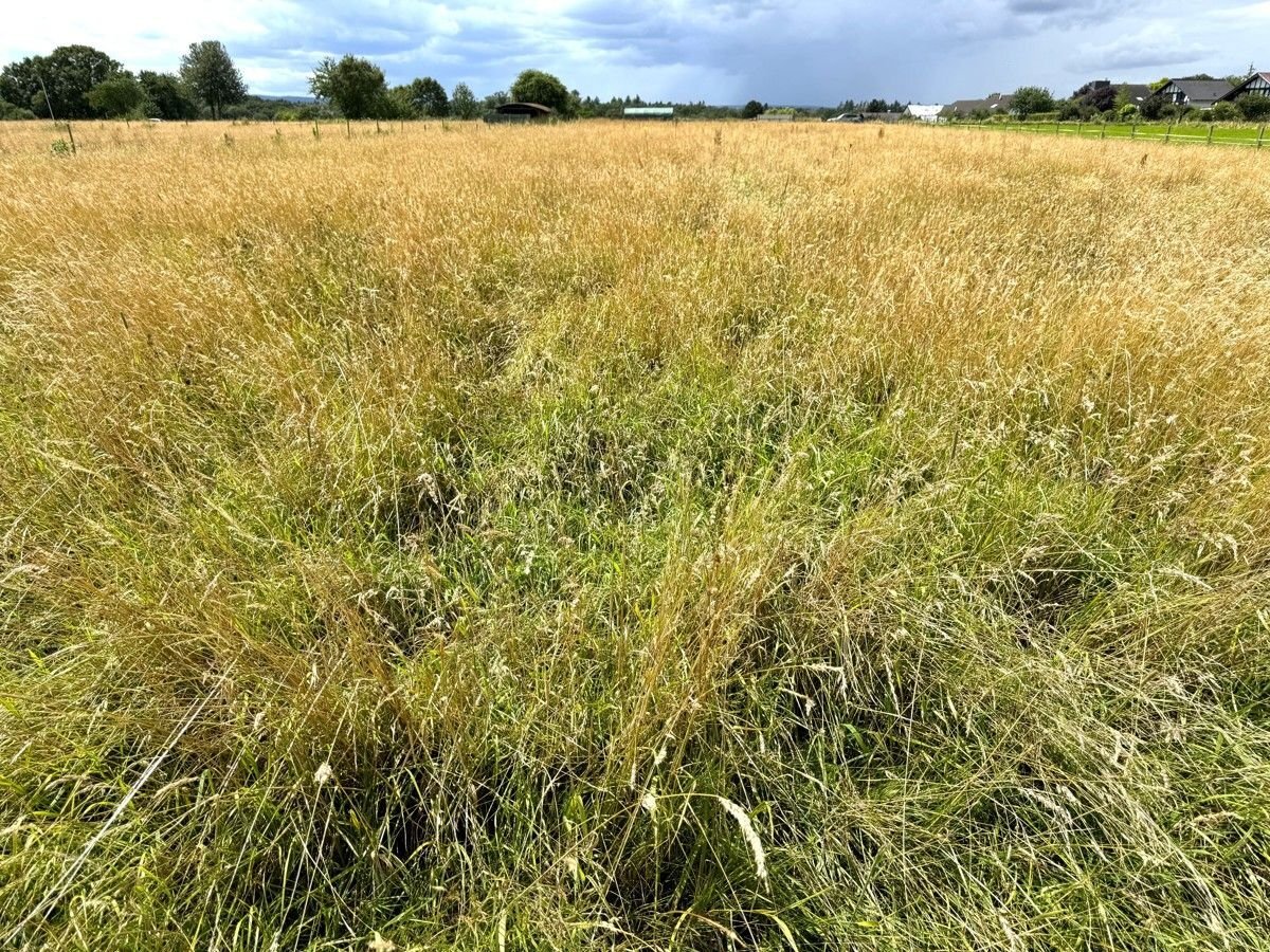 Landwirtschaftliche Fläche zum Kauf 4.333 m²<br/>Fläche 4.333 m²<br/>Grundstück Buschhoven Swisttal 53913