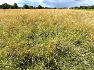 Landwirtschaftliche Fläche zum Kauf 4.333 m² 4.333 m² Grundstück Buschhoven Swisttal 53913