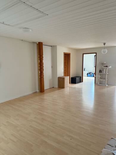 Terrassenwohnung zur Miete 1.050 € 3 Zimmer 142 m² Geschoss 1/2 frei ab 01.09.2025 Kuhardt 76773
