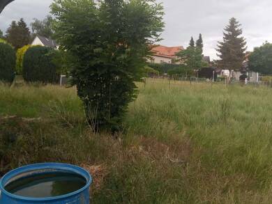 Grundstück zum Kauf 45.000 € 663 m² Grundstück Almstedt Almstedt 31079