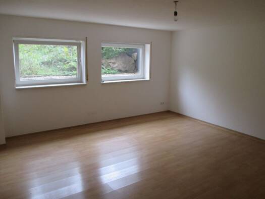 Wohnung zur Miete 700 € 2 Zimmer 61 m² Geschoss -1/1 frei ab sofort Malschenberg Rauenberg 69231