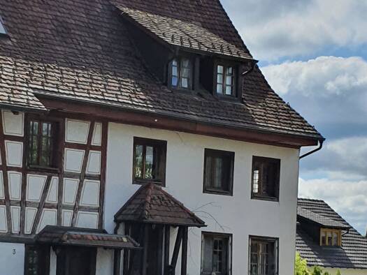 Wohnung zur Miete 950 € 3 Zimmer 100 m² 1 Geschosse Gundholzen Gaienhofen 78343