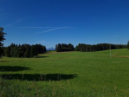 Land-/Forstwirtschaft zum Kauf 339.000 € 33.490 m² Grundstück Holz Bernbeuren 86975