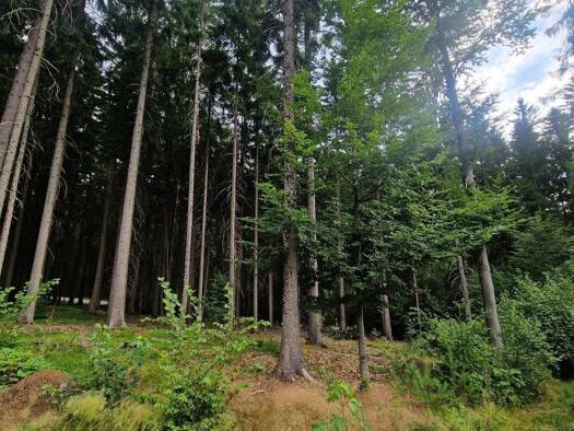 Land-/Forstwirtschaft zum Kauf 33.000 € 9.975 m² Grundstück Irlach Tiefenbach 93464