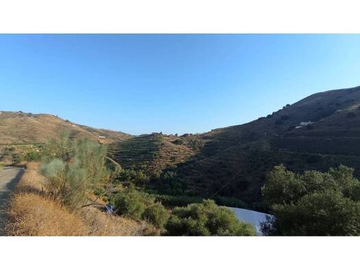 Acker-/Waldstück zum Kauf 10.000 € Torrox 29793