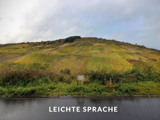 Grundstück zum Kauf 88.000 € 636 m² Grundstück St.-Laurentius-Straße 5 Waldrach 54320