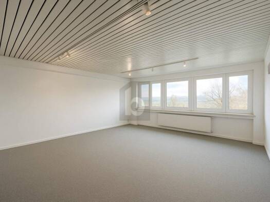 Bürofläche zur Miete 5.182 € 17 Zimmer Bräunleinsberg Ottensoos 91242