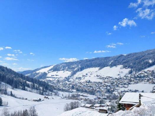 Einfamilienhaus zum Kauf 990.000 € 5 Zimmer 357 m² 1.133 m² Grundstück LE GRAND BORNAND 74450