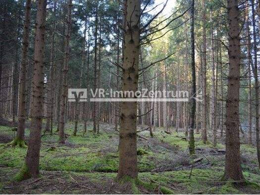 Forstwirtschaft zum Kauf 99.000 € 19.386 m² Grundstück Landsberg Erpfting 86899