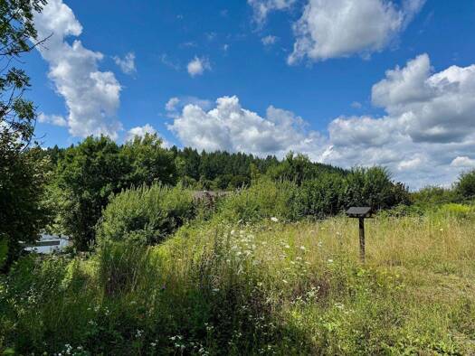 Grundstück zum Kauf 76.000 € 406 m² Grundstück Braunfels Braunfels 35619