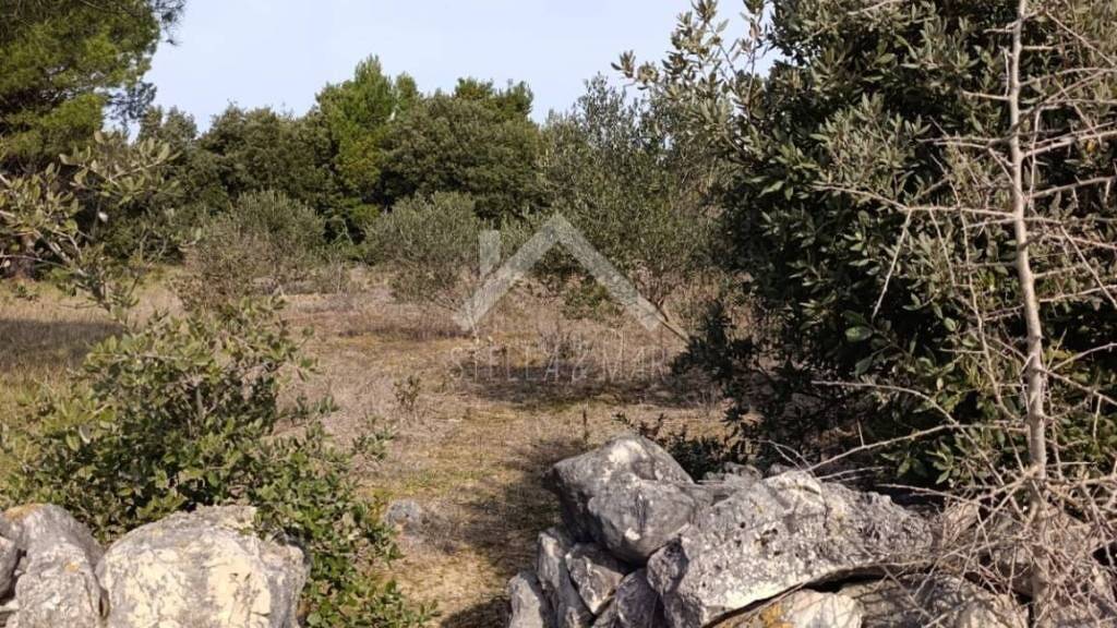 Land-/Forstwirtschaft zum Kauf 36.000 € Vir