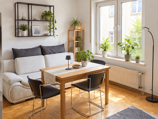 Wohnung zur Miete 370 € 1 Zimmer 31,7 m² 1. Geschoss frei ab 01.01.2027 Innenstadt Trier 54290