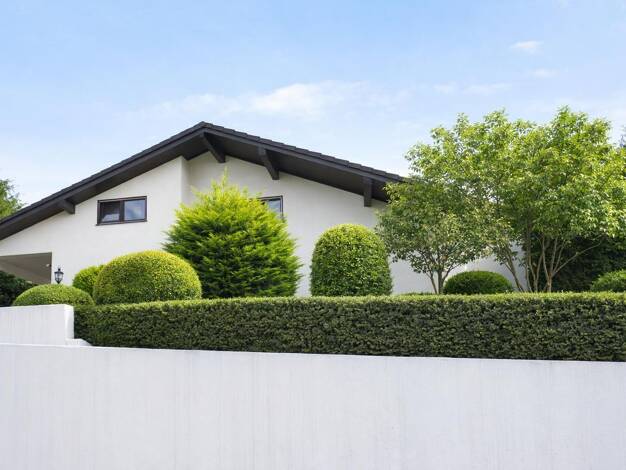 Villa zum Kauf 1.350.000 € 7 Zimmer 253 m² 906 m² Grundstück frei ab sofort Großsachsen Hirschberg an der Bergstraße 69493