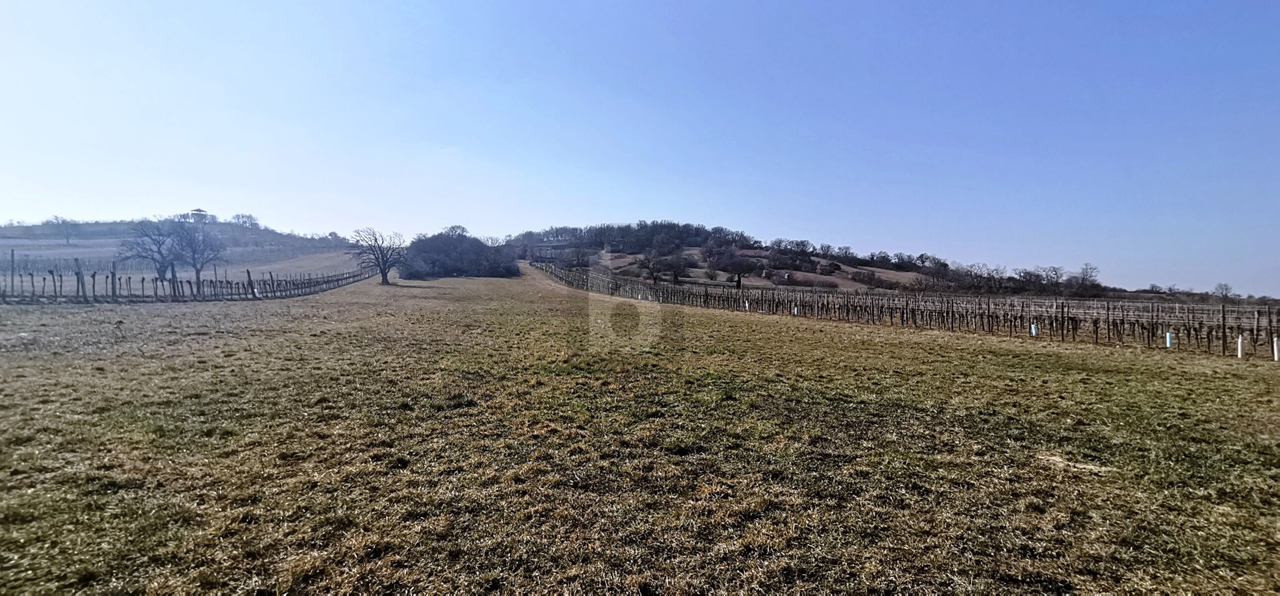 Land-/Forstwirtschaft zum Kauf 5.692 m²<br/>Grundstück Schützen am Gebirge 7081