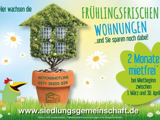 Wohnung zur Miete 360 € 2 Zimmer 60 m² EG frei ab sofort Ammonstraße 11 Altendorf Chemnitz 09116