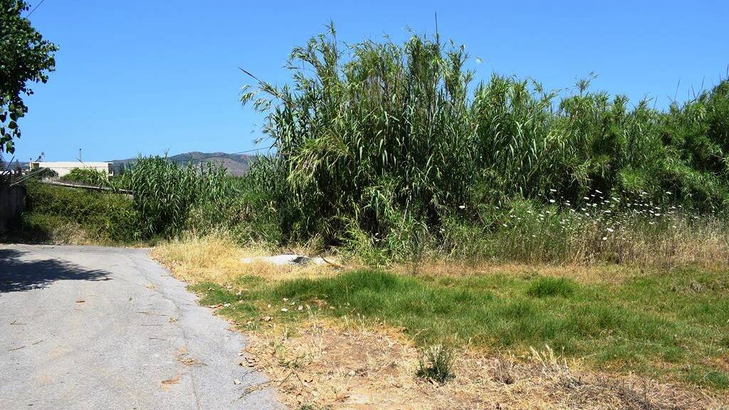Land-/Forstwirtschaft zum Kauf 800.000 € 1.000 m² Grundstück Kreta
