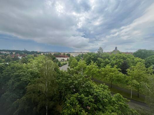 Studio zur Miete 199 € 1 Zimmer 35 m² 6. Geschoss frei ab sofort Neuplanitzer Straße 33 Neuplanitz Zwickau 08062