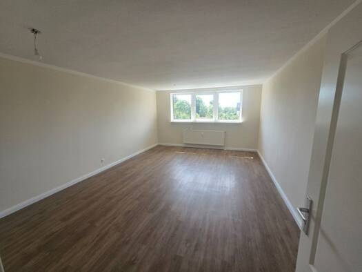 Wohnung zur Miete 636 € 2 Zimmer 67 m² 3. Geschoss Alt Meteln Alt Meteln 19069