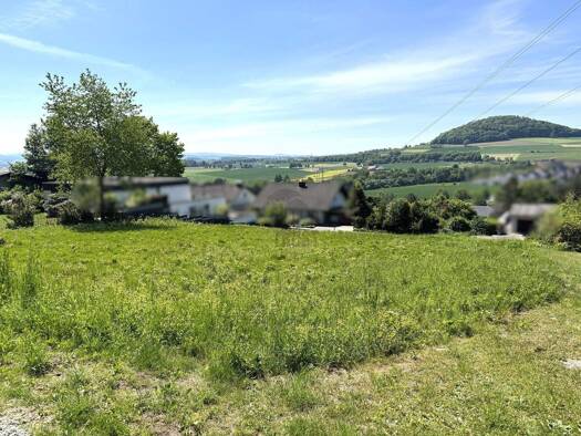 Grundstück zum Kauf 289.000 € 1.545 m² Grundstück Steinau Petersberg-Steinau 36100