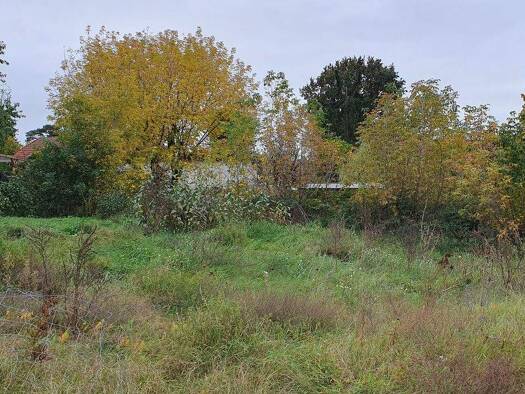 Grundstück zum Kauf 299.000 € 1.200 m² Grundstück Dabendorf Zossen 15806