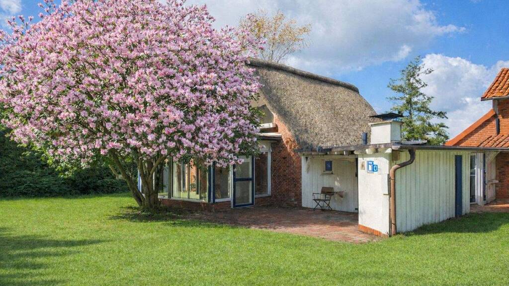 Einfamilienhaus zum Kauf provisionsfrei 419.000 € 5,5 Zimmer 150 m² 1.904 m² Grundstück Dornbusch Drochtersen/Dornbusch 21706