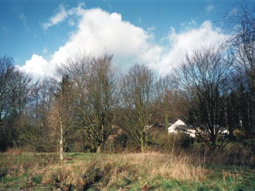 Grundstück zum Kauf 196.000 € 833 m² Grundstück Weißdornweg 10 Spenge Spenge / Lenzinghausen 32139