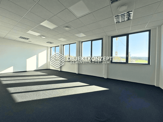 Bürofläche zur Miete provisionsfrei 350 m² Bürofläche Engen 78234