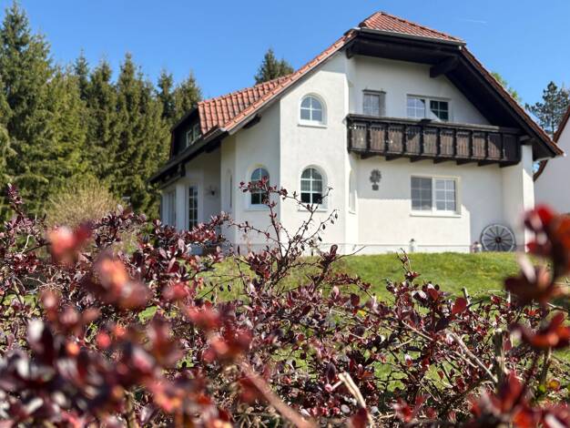 Einfamilienhaus zum Kauf 370.000 € 4 Zimmer 240 m² 9.200 m² Grundstück Paßbruch Sangerhausen 06526
