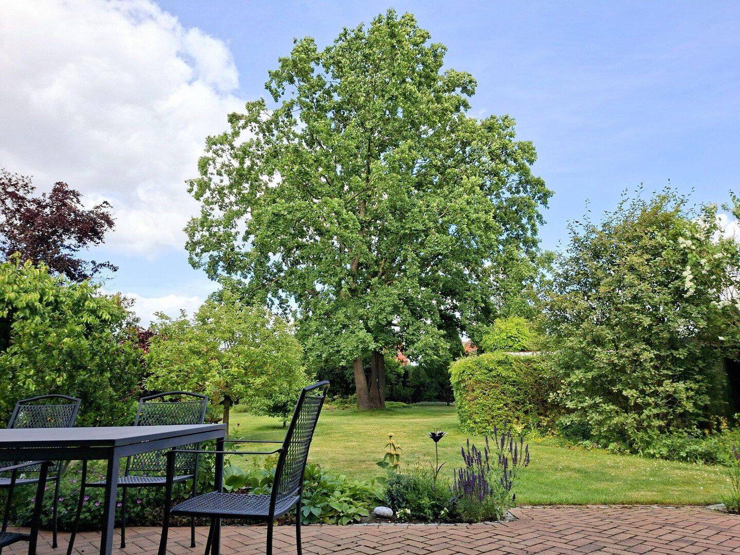Haus – Falkensee, Havelland - Ansicht 5