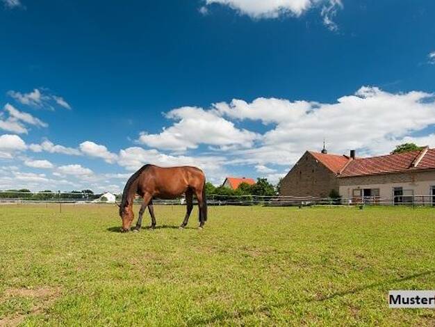 Reiterhof zum Kauf 582.000 € 17.036 m² Grundstück Loxten Versmold 33775
