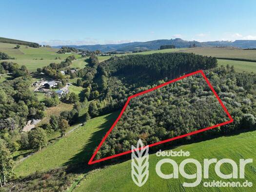 Land-/Forstwirtschaft zum Kauf 9.900 € 12.107 m² Grundstück Elpe Olsberg 59939