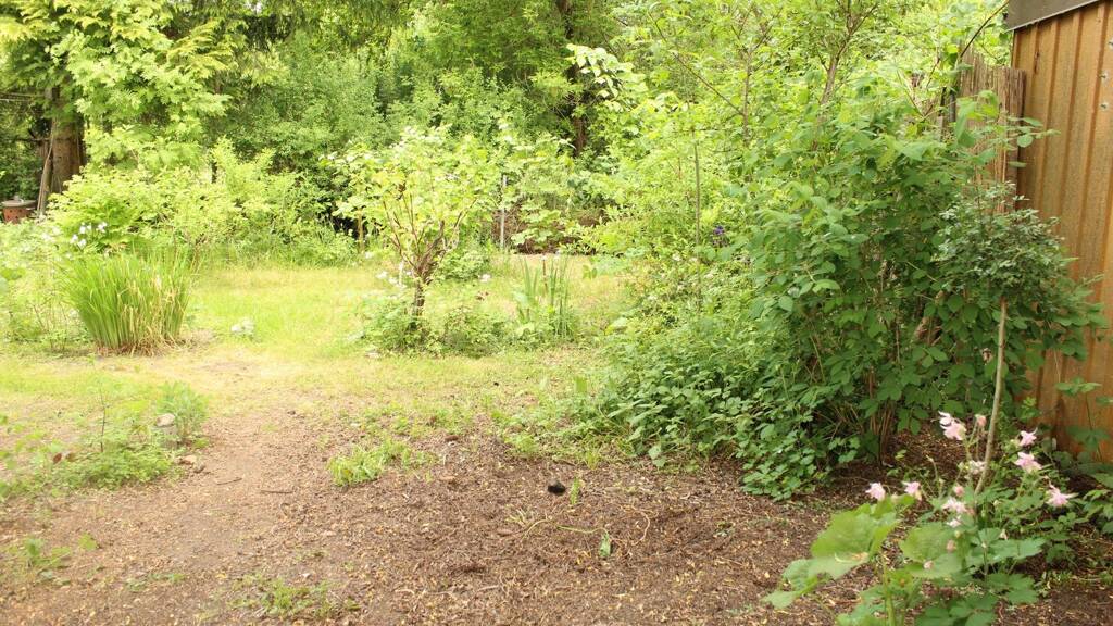 Freizeitgrundstück zur Miete provisionsfrei 30 € 134,6 m² Grundstück Jahnstraße Angermünde 16278