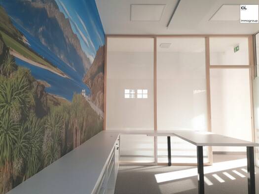 Bürofläche zur Miete 1.125 € 4 Zimmer Mondsee 5310