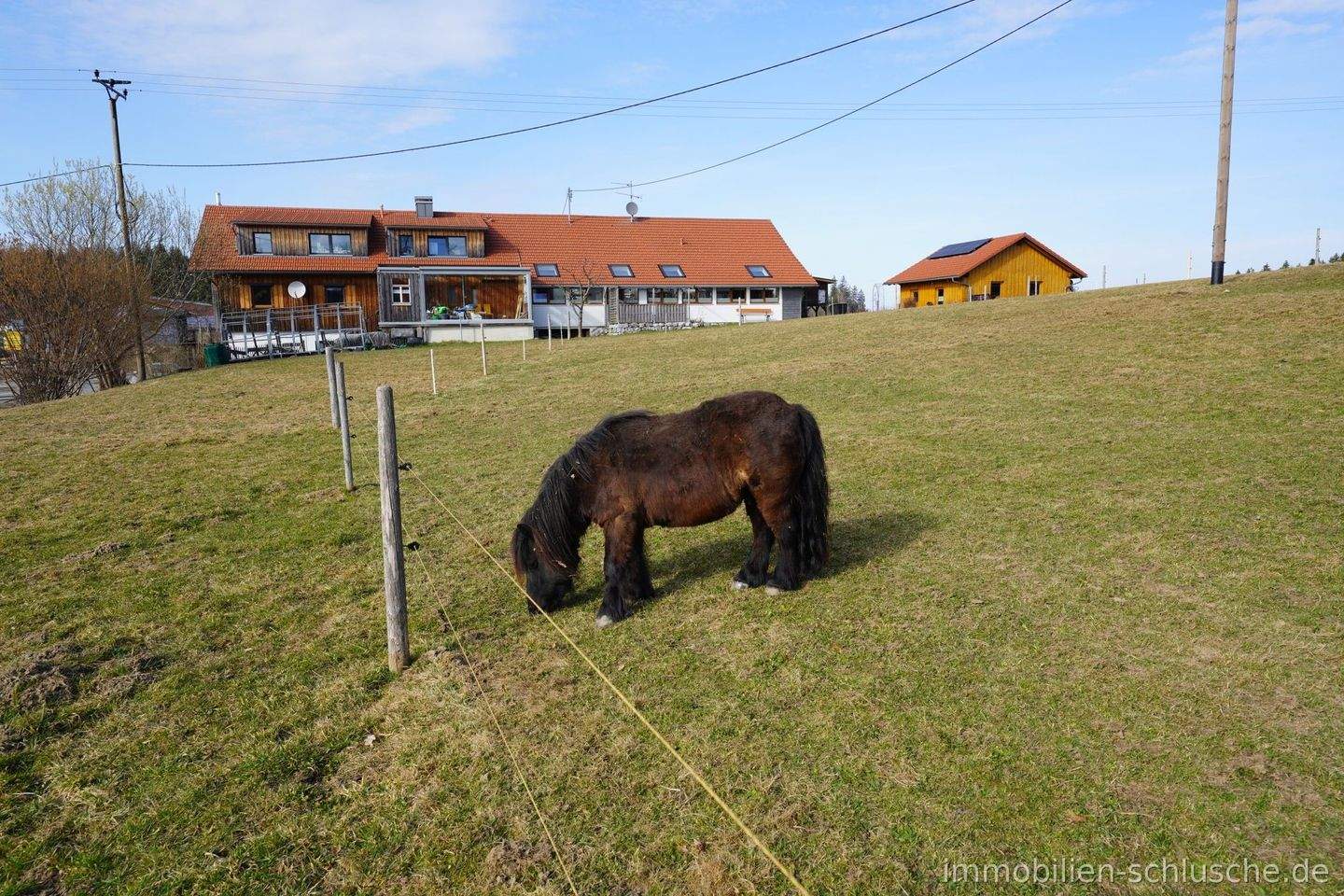 Immobilie in Maierhöfen - Haus im Haus in modernisierten ehemaliger Sennerei mit viel Wohn.- und Nutzflächen in KFW 55 Standard - Bild 3