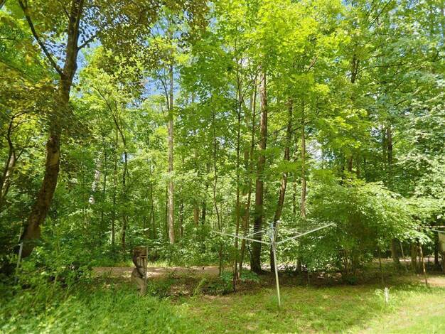 Wohnung zum Kauf 559.000 € 2,5 Zimmer 69,9 m² EG frei ab sofort Untergiesing-Harlaching München 81543
